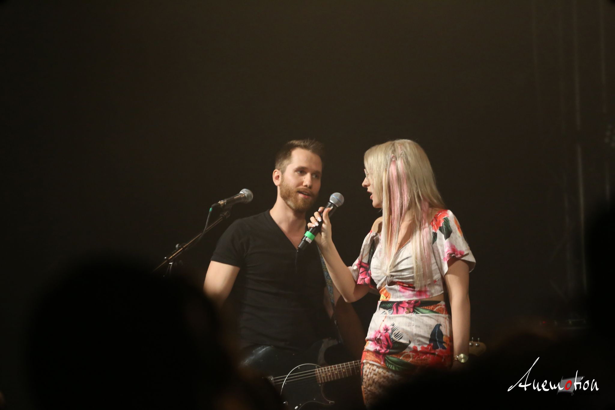 ElephantsFalling (32)